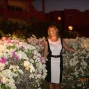 ���� ����, ��������� - ��������� 29 ������� 2012 � ������ ���� ����������