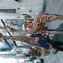 ���� Gleb, �����������, 63 ���� - ��������� 12 ���� 2013 � ������ ���� ����������