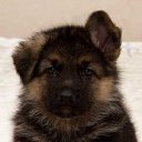 ���� ����, ������, 24 ���� - ��������� 5 ����� 2012 � ������ �PetLove�