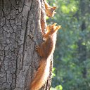  , , 40  -  27  2012    15-24.07.2012