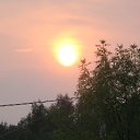 ���� ��������, ������, 55 ��� - ��������� 1 ���� 2011 � ������ �������