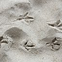 ���� Jola, ���! - ��������� 6 �������� 2012 � ������ �������