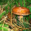 ���� �������, ������ - ��������� 28 �������� 2010 � ������ �������� ���� :)))�