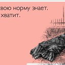 ���� �������, ���������, 61 ��� - ��������� 7 ����� 2013 � ������ ������ ��������