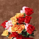 ���� ����� - ���������� ��������!!!, �����������, 56 ��� - ��������� 16 ������ 2010 � ������ ������ۻ