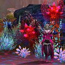  , , 33  -  28  2010   AION
