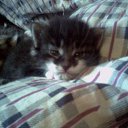 ����� ����� �� ������� ���� �����