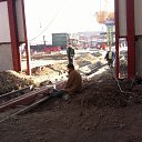 ���� ��������, ���������, 43 ���� - ��������� 2 ���� 2013 � ������ ���� ������ ������