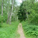 ���� Nik, ������, 53 ���� - ��������� 10 ����� 2012