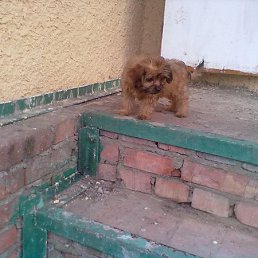 ���� ����, �����, 61 ��� - ��������� 18 �������� 2012