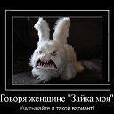 ���� ������� �������, ���������, 51 ��� - ��������� 26 ����� 2013 � ������ ���� ����������