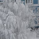 ���� �������, ������, 50 ��� - ��������� 26 ����� 2013 � ������ ���� ����������