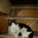 ���� �����, ������-��������, 40 ��� - ��������� 11 ������ 2012