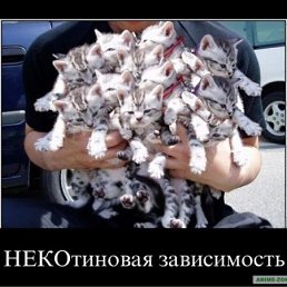 ���� Hellga, ����� - ��������� 26 �������� 2011