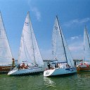 ���� ��������, ��������, 55 ��� - ��������� 2 ������� 2011 � ������ ������
