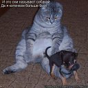 ���� �����, �����������, 41 ��� - ��������� 12 ������� 2010 � ������ �������� ���������!�