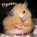 ���� ������, ��������������, 25 ��� - ��������� 11 ���� 2011 � ������ �������