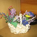 ���� �������, ���������, 37 ��� - ��������� 15 �������� 2011 � ������ ��������������� �� �������