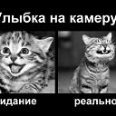 ���� ˸��, ����, 44 ���� - ��������� 26 ���� 2012 � ������ ������