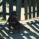 ���� ������, �����-���������, 49 ��� - ��������� 18 ���� 2011 � ������ �������