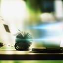 ���� ���������, ������ - ��������� 20 ������� 2011 � ������ ���� �� ������ ������ ��� ���� �����)�