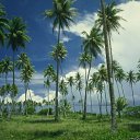  ,  , 33  -  28  2010   