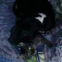 ���� �����, ��������, 43 ���� - ��������� 30 ������� 2011 � ������ ���� ����������