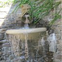 ���� �������, ���, 60 ��� - ��������� 23 �������� 2011 � ������ �PetLove�