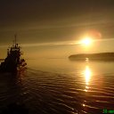 ���� ���������, �����������, 43 ���� - ��������� 13 ������� 2010 � ������ �������