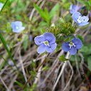 ���� ~��~, ������������, 38 ��� - ��������� 5 ������� 2010 � ������ ��������