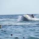 ���� ������, �����������, 47 ��� - ��������� 5 ������ 2013 � ������ ���� ����������