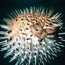 ���� ����� - ���������� ��������!!!, �����������, 56 ��� - ��������� 12 ������ 2010 � ������ ������