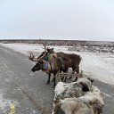 ���� �������, ���, 51 ��� - ��������� 19 ������� 2012 � ������ ���� ����������