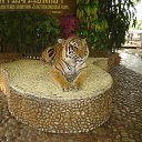 ���� ����, �����, 27 ��� - ��������� 8 ������ 2011 � ������ ��������