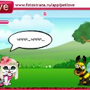 ���� &deg;&bull;*������&deg;&bull;*, ����������, 23 ���� - ��������� 12 �������� 2010 � ������ �PetLove�