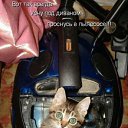 ���� ������, �������, 40 ��� - ��������� 13 ������� 2009 � ������ ����������� ��������, ������� ����������