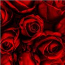 ���� �������, �����������, 49 ��� - ��������� 29 ������ 2011