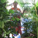 ���� ������, ��������, 75 ��� - ��������� 8 ������ 2013