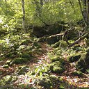 ���� ������, �������, 47 ��� - ��������� 5 ������� 2012 � ������ ���� ����������