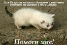 ���� �����, ������, 21 ��� - ��������� 3 ������ 2010 � ������ ��������� �� �����