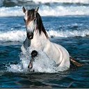 ���� �������, ��, �������� - ��������� 15 ������� 2012 � ������ �������...�