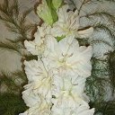 ���� �������, ����, 65 ��� - ��������� 7 ������� 2010 � ������ ������ �����������