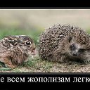 ���� ����, ��������, 36 ��� - ��������� 9 ������ 2013 � ������ ���� ����������