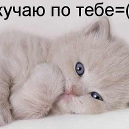 ���� �����, ������, 39 ��� - ��������� 7 ������ 2010