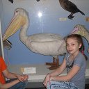 ���� ���, ��������, 30 ��� - ��������� 11 ���� 2013 � ������ ���� ����������