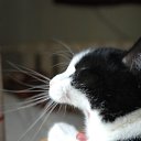  S S, , 60  -  5  2011   )))))))))))