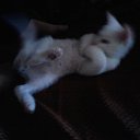 ���� ���4o���(�4-jb)������� �� �����, �����������, 28 ��� - ��������� 5 ������� 2011 � ������ ������....� ��� �� ���