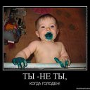���� �������, ������, 43 ���� - ��������� 11 ������� 2012 � ������ �������