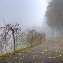  Denis, , 46  -  28  2012   