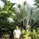 ���� ������, ���������, 46 ��� - ��������� 9 ���� 2013 � ������ ���� ����������